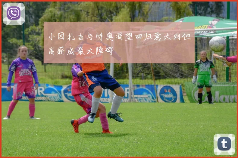 小因扎吉与特奥渴望回归意大利但高薪成最大障碍