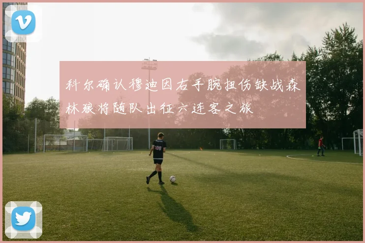 科尔确认穆迪因右手腕扭伤缺战森林狼将随队出征六连客之旅