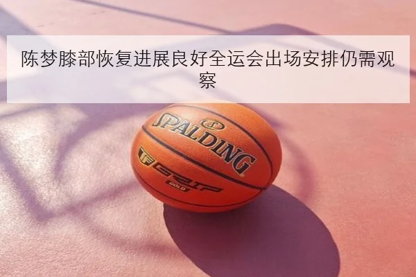 陈梦膝部恢复进展良好全运会出场安排仍需观察